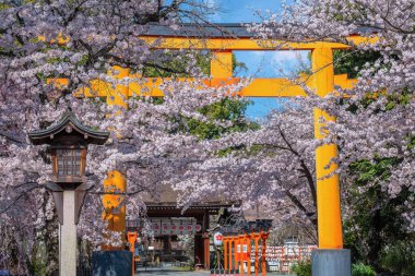 Hirano-jinja, İmparator Kazan döneminde 985 yılından bu yana her yıl bir kiraz çiçeği festivaline ev sahipliği yapmaktadır ve festival Kyoto 'da düzenli olarak düzenlenen en eski festival olmuştur.
