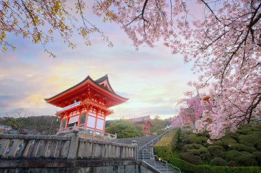 Japonya 'nın Kyoto kentinde bulunan Kiyomizu-dera, doğu Kyoto' da bulunan bir Budist tapınağıdır. Antik Kyoto UNESCO Dünya Mirası Anıtı 'nın bir parçasıdır.