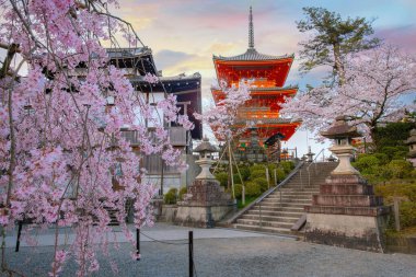 Japonya 'nın Kyoto kentinde bulunan Kiyomizu-dera, doğu Kyoto' da bulunan bir Budist tapınağıdır. Antik Kyoto UNESCO Dünya Mirası Anıtı 'nın bir parçasıdır.