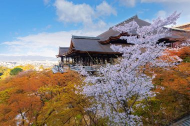 Kiyomizu-dera, Kyoto 'nun doğusunda bulunan bir Budist tapınağıdır. Antik Kyoto UNESCO Dünya Mirası Anıtı 'nın bir parçasıdır.