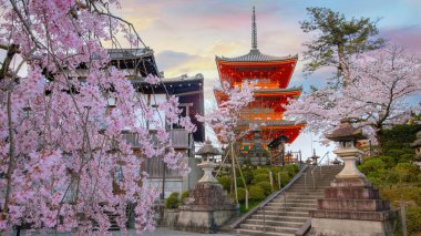 Kiyomizu-dera, Kyoto 'nun doğusunda bulunan bir Budist tapınağıdır. Antik Kyoto UNESCO Dünya Mirası Anıtı 'nın bir parçasıdır.