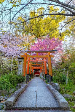 Hirano-jinja, İmparator Kazan döneminde 985 yılından bu yana her yıl bir kiraz çiçeği festivaline ev sahipliği yapmaktadır ve festival Kyoto 'da düzenli olarak düzenlenen en eski festival olmuştur.