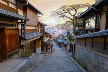 Japonya 'nın Kyoto kentinde bulunan Nineizaka ya da Ninenzaka, 150 metre kaldırımlı eski bir yaya yoludur. Yol geleneksel binalar ve dükkanlarla dolu.