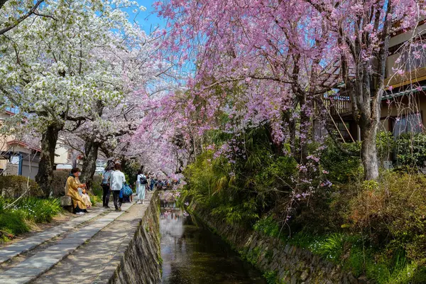 Киото Япония Марта 2023 Года Философский Путь Каменный Путь Через — стоковое фото