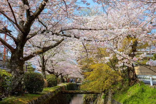 Философский Путь Каменный Путь Через Северную Часть Района Хигасияма Киото — стоковое фото