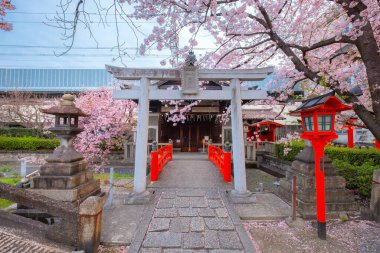Rokusonno tapınağı 963 yılında inşa edildi, İmparator Seiwa 'nın 6. torunu MInamota no Tsunemoto' yu kutsadı. Kyoto 'daki en iyi kiraz çiçeği manzaralı yerlerden biri.