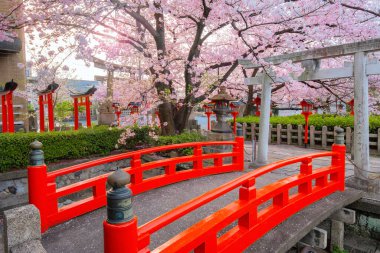 Rokusonno tapınağı 963 yılında inşa edildi, İmparator Seiwa 'nın 6. torunu MInamota no Tsunemoto' yu kutsadı. Kyoto 'daki en iyi kiraz çiçeği manzaralı yerlerden biri.