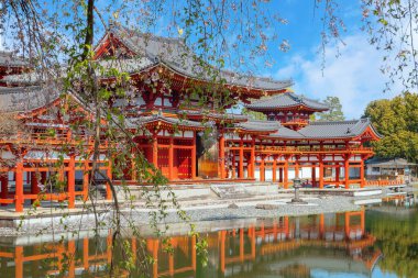 Japonya 'nın Kyoto kentindeki Phoenix Byodo-in Tapınağı' nda bahar aylarında kiraz çiçekleri açar.