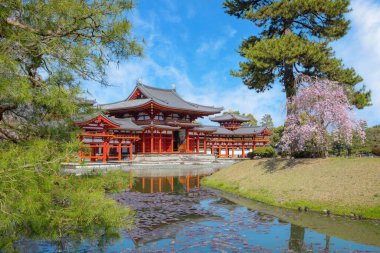 Japonya 'nın Kyoto kentindeki Phoenix Byodo-in Tapınağı' nda bahar aylarında kiraz çiçekleri açar.