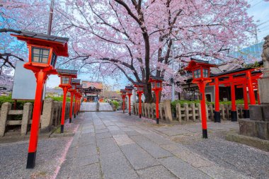 Rokusonno tapınağı 963 yılında inşa edildi, İmparator Seiwa 'nın 6. torunu MInamota no Tsunemoto' yu kutsadı. Kyoto 'daki en iyi kiraz çiçeği manzaralı yerlerden biri.