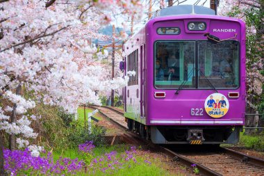 Kyoto, Japonya - 31 Mart 2023: Keifuku Tramvayı Keifuku Electric Railroad tarafından işletilmektedir. İki tramvay hattından oluşuyor ve Kyoto şehrinin batısındaki en iyi kiraz çiçeklerinden biri.