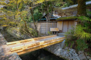 Filozof Yolu, Kyoto 'nun Higashiyama ilçesinin kuzey kesiminde taş bir patikadır. Yol, yüzlerce kiraz ağacının oluşturduğu bir kanalı takip ediyor.