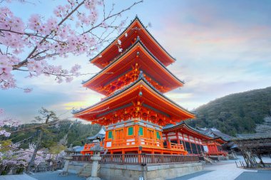 Japonya 'nın Kyoto kentindeki Kiyomizu-dera tapınağında ilkbahar zamanı çiçek açan güzel kiraz çiçekleri.