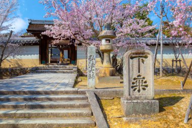 Ninnaji, Kyoto 'nun en büyük tapınaklarından biridir. Dünya Mirası Listesi Omuro Kirazları ile ünlüdür. Geç açan kiraz ağaçları..