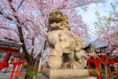 Rokusonno tapınağı 963 yılında inşa edildi, İmparator Seiwa 'nın 6. torunu MInamota no Tsunemoto' yu kutsadı. Kyoto 'daki en iyi kiraz çiçeği manzaralı yerlerden biri.