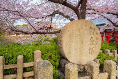 Rokusonno tapınağı 963 yılında inşa edildi, İmparator Seiwa 'nın 6. torunu MInamota no Tsunemoto' yu kutsadı. Kyoto 'daki en iyi kiraz çiçeği manzaralı yerlerden biri.