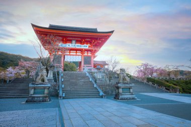 Japonya 'nın Kyoto kentindeki Kiyomizu-dera tapınağında ilkbahar zamanı çiçek açan güzel kiraz çiçekleri.