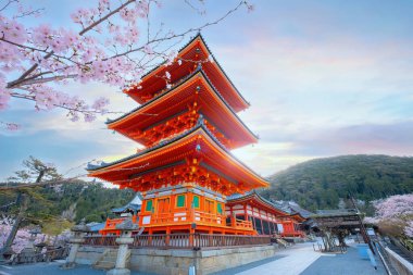 Beautiful full bloom cherry blossom at Kiyomizu-dera temple in Kyoto, Japan during springtime clipart