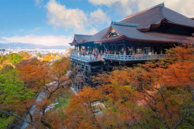 Japonya 'nın Kyoto kentindeki Kiyomizu-dera tapınağında ilkbahar zamanı çiçek açan güzel kiraz çiçekleri.