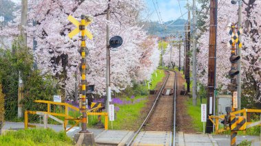 Keifuku Tramvayı Keifuku Elektrik Demiryolu tarafından işletilmektedir. İki tramvay hattından oluşuyor ve Kyoto şehrinin batısındaki en iyi kiraz çiçeklerinden biri.