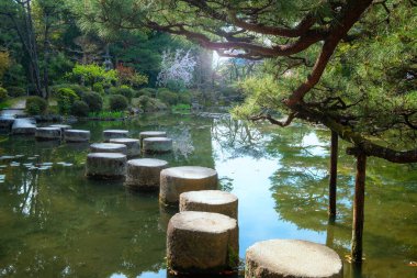 Heian Jingu Bahçesi çeşitli bitki, göletler, binalar ve ağlayan kiraz ağaçları olan bir bahçedir. Bu da onu Kyoto 'daki en iyi kiraz çiçeklerinden biri yapar.