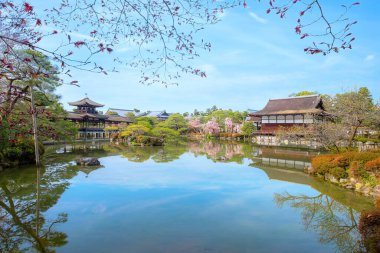 Heian Jingu Bahçesi çeşitli bitki, göletler, binalar ve ağlayan kiraz ağaçları olan bir bahçedir. Bu da onu Kyoto 'daki en iyi kiraz çiçeklerinden biri yapar.