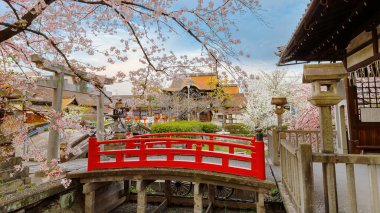 Rokusonno tapınağı 963 yılında inşa edildi, İmparator Seiwa 'nın 6. torunu MInamota no Tsunemoto' yu kutsadı. Kyoto 'daki en iyi kiraz çiçeği manzaralı yerlerden biri.