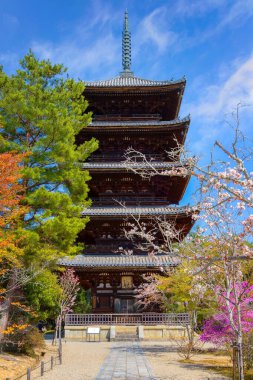 Ninnaji, Kyoto 'nun en büyük tapınaklarından biridir. Dünya Mirası Listesi Omuro Kirazları ile ünlüdür. Geç açan kiraz ağaçları..
