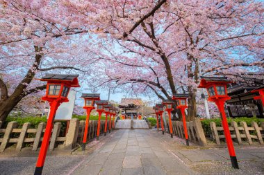 Rokusonno tapınağı 963 yılında inşa edildi, İmparator Seiwa 'nın 6. torunu MInamota no Tsunemoto' yu kutsadı. Kyoto 'daki en iyi kiraz çiçeği manzaralı yerlerden biri.