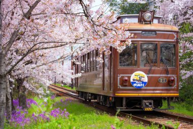 Keifuku Tramvayı Keifuku Elektrik Demiryolu tarafından işletilmektedir. İki tramvay hattından oluşuyor ve Kyoto şehrinin batısındaki en iyi kiraz çiçeklerinden biri.