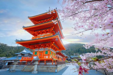 Kyoto, Japonya - 30 Mart 2023 Kiyomizu-dera, Kyoto 'nun doğusunda yer alan bir Budist tapınağıdır. Antik Kyoto UNESCO Dünya Mirası Anıtı 'nın bir parçasıdır.