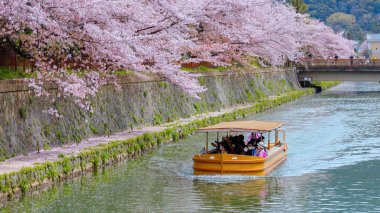 Kyoto, Japonya - 2 Nisan 2023: Okazaki Jikkokubune Boat Ride Nanzenji tekne iskelesinden Ebisu Barajı 'na ve gidiş dönüş yolculuğuna üç kilometre mesafede.