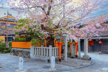 Tatsumi Daimyojin Tapınağı Japonya 'nın Kyoto eyaletinin Gion ilçesinde Tatsumu bashi köprüsü yakınlarında yer almaktadır.