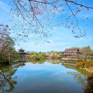 Heian Jingu Bahçesi çeşitli bitki, göletler, binalar ve ağlayan kiraz ağaçları olan bir bahçedir. Bu da onu Kyoto 'daki en iyi kiraz çiçeklerinden biri yapar.