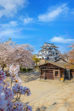 Heian Jingu Bahçesi çeşitli bitki, göletler, binalar ve ağlayan kiraz ağaçları olan bir bahçedir. Bu da onu Kyoto 'daki en iyi kiraz çiçeklerinden biri yapar.