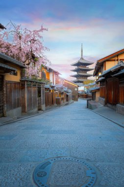 Yasaka Pagoda, Japonya 'nın Kyoto şehrinde çiçek açmış. 5 katlı tapınak, Hokan-ji Tapınağı 'nın 6. yüzyılda inşa edilen son yapısıdır.