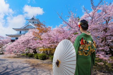 Genç Japon Geyşası Geleneksel Kimono Giysileri Shiga Bölgesi Nagahama Şatosu 'nda çiçek açan kiraz çiçekleri mevsiminde