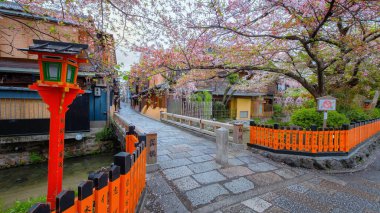 Tatsumi bashi Köprüsü Gion bölgesinin ikonik yeridir. Shirakawa deresinden geçen küçük bir köprü. Hangi akarsu aslında Biwa Gölü 'nden geliyor?.