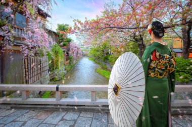 Geleneksel Kimono elbiseli genç Japon kadın Japonya 'nın Kyoto eyaletinin Gion ilçesinde Shirakawa nehri üzerindeki Tatsumi bashi köprüsünde geziniyor.