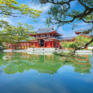 Kyoto, Japonya 'daki Phoenix Byodo-in Tapınağı ilkbaharda kiraz çiçekleri açarken