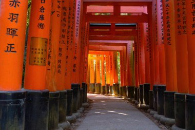 Japonya 'nın Kyoto kentindeki Fushimi Inari-Taisha tapınağının Senbon torii kapıları