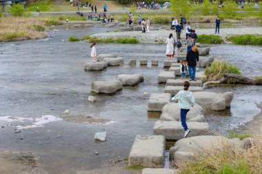 Kyoto, Japonya - 2 Nisan 2023: Kamogawa Nehri, Kyoto 'nun ilkbahar döneminde en iyi kiraz çiçeklerinden biridir.