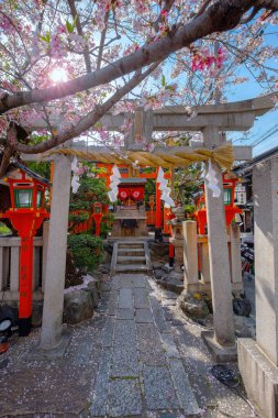 Tatsumi Daimyojin Tapınağı Japonya 'nın Kyoto eyaletinin Gion ilçesinde Tatsumu bashi köprüsü yakınlarında yer almaktadır.