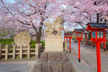 Rokusonno tapınağı 963 yılında inşa edildi, İmparator Seiwa 'nın 6. torunu MInamota no Tsunemoto' yu kutsadı. Kyoto 'daki en iyi kiraz çiçeği manzaralı yerlerden biri.