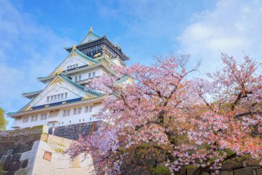 Osaka, Japonya 'daki Osaka Kalesi kiraz çiçeği mevsiminde Osaka' nın en popüler hanami mekanlarından biridir.