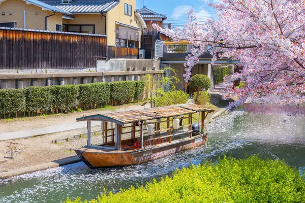 Kyoto 'da Fushimi Jikkokubune Teknesi Baharda kiraz çiçekleri açar 