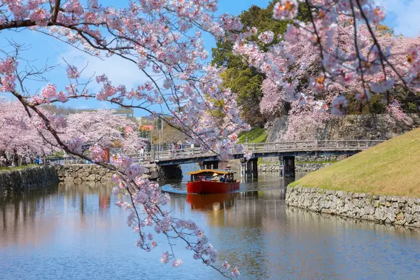 Shiga, Japonya - 3 Nisan 2023: Hikone Şatosu Yakatabune Gezisi, yeniden inşa edilmiş bir tekneyle kale hendeğini gezen bir turdur.