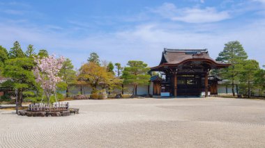 Kyoto, Japonya 'daki Toji Tapınağı ilkbaharda çiçek açan güzel kiraz çiçekleriyle