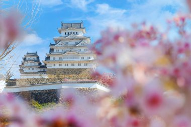 Himeji Kalesi namı diğer Hyogo, Japonya 'daki Beyaz Balıkçıl Kalesi baharda çok güzel çiçek açan sakura ile.