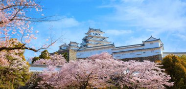 Himeji Kalesi namı diğer Hyogo, Japonya 'daki Beyaz Balıkçıl Kalesi baharda çok güzel çiçek açan sakura ile.